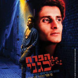 הפרח בגני יום קצרין